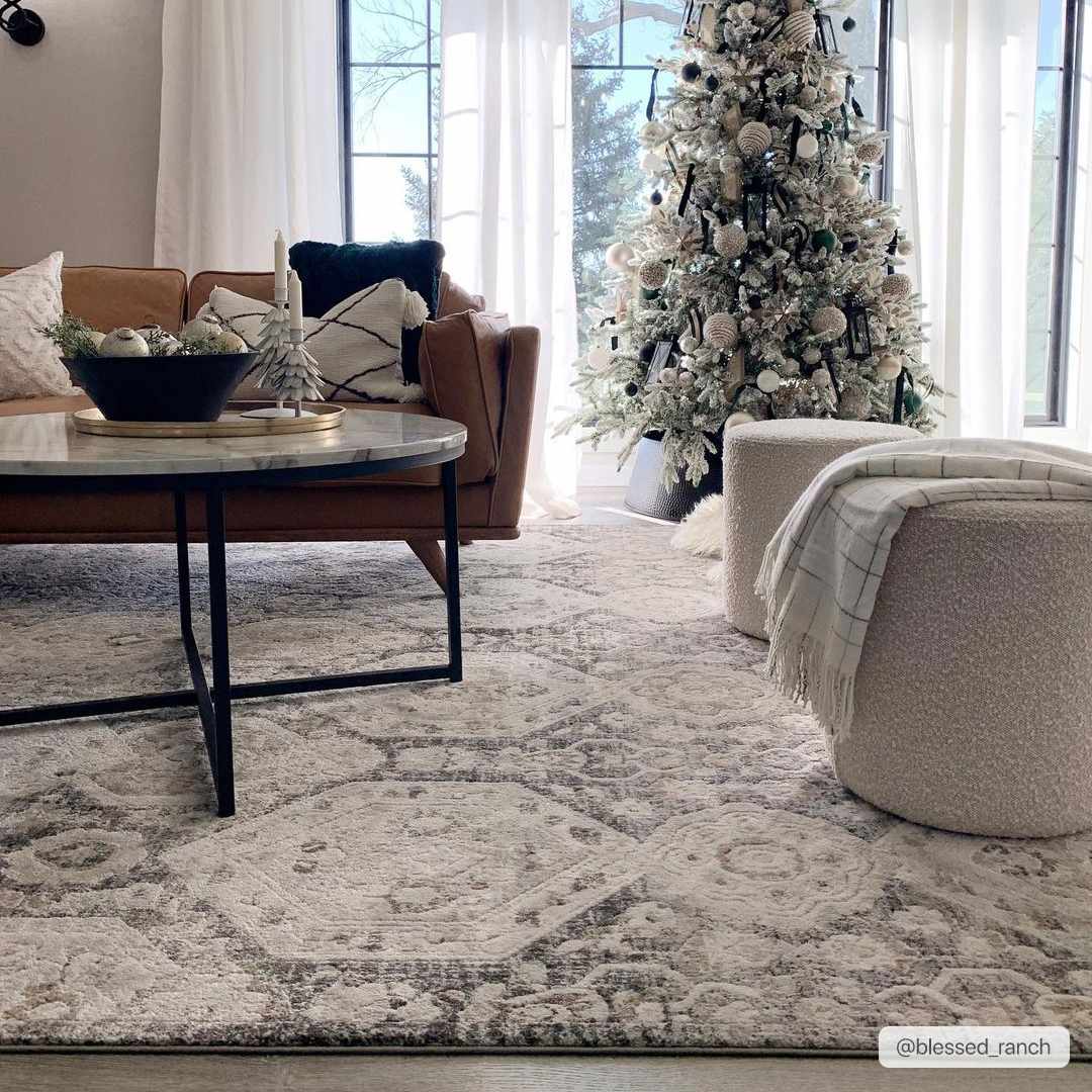 Minoa Area Rug by Boutique Rugs in neutral beige-gray medallion pattern in a cozy living room on Tampa Home & Garden Store