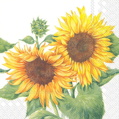 Mirasol (White) - Cocktail Napkin - Tampa Home & Garden Store