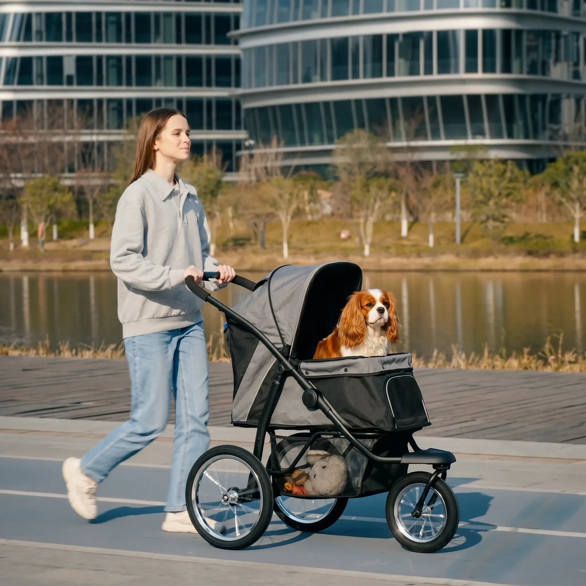 3-Wheeled pet stroller for small and medium dogs, black frame with mesh basket and sun canopy on Tampa Home & Garden Store