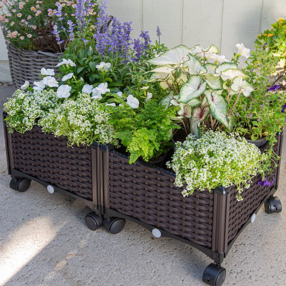 Modern 2-Piece Indoor Outdoor Raised Garden Planter Box on Wheels in PP Rattan - Tampa Home & Garden Store