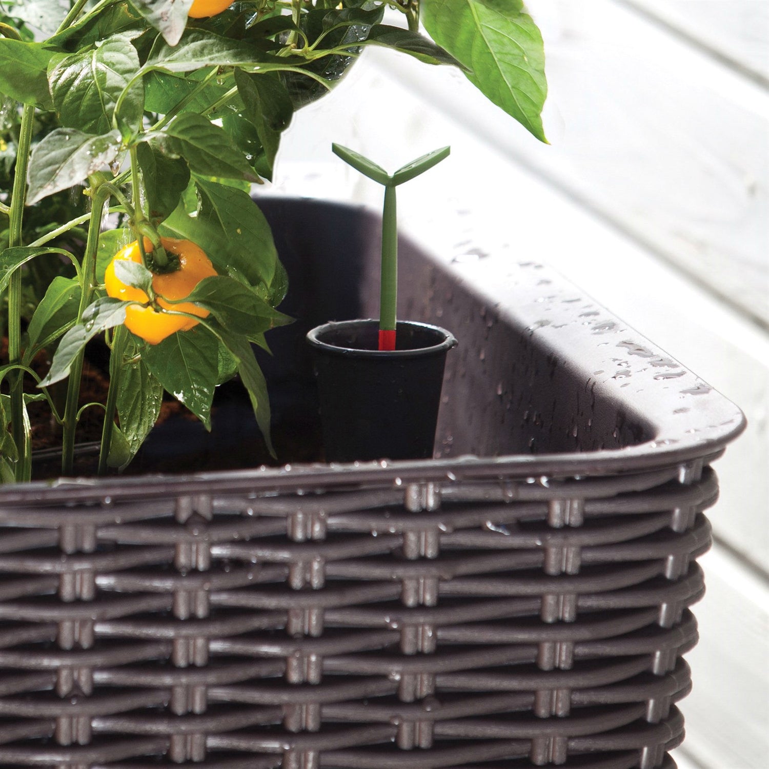 Modern Dark Brown Resin Wicker Raised Garden Bed Planter with Water Indicator - Tampa Home & Garden Store