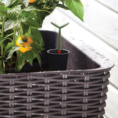 Modern Dark Brown Resin Wicker Raised Garden Bed Planter with Water Indicator - Tampa Home & Garden Store