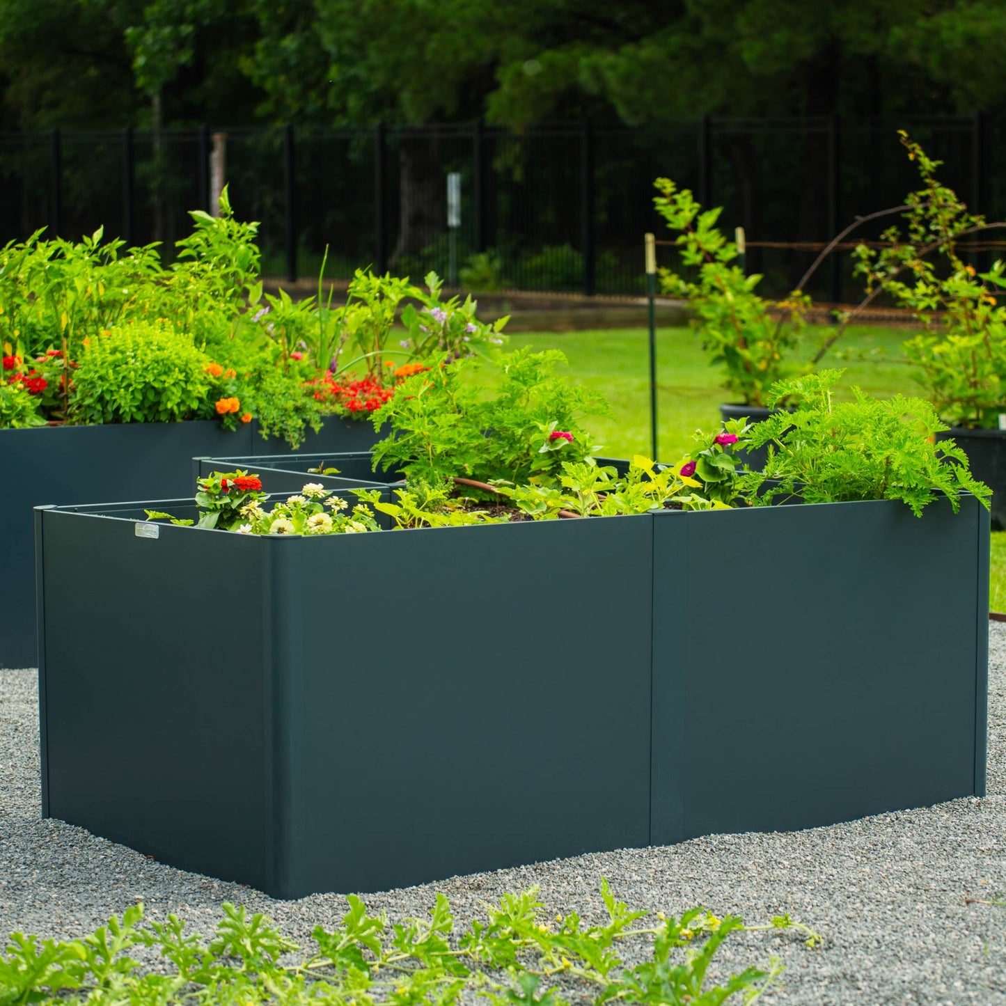 32" Tall Modern L Shape Raised Garden Bed | Metal - Tampa soil911.com