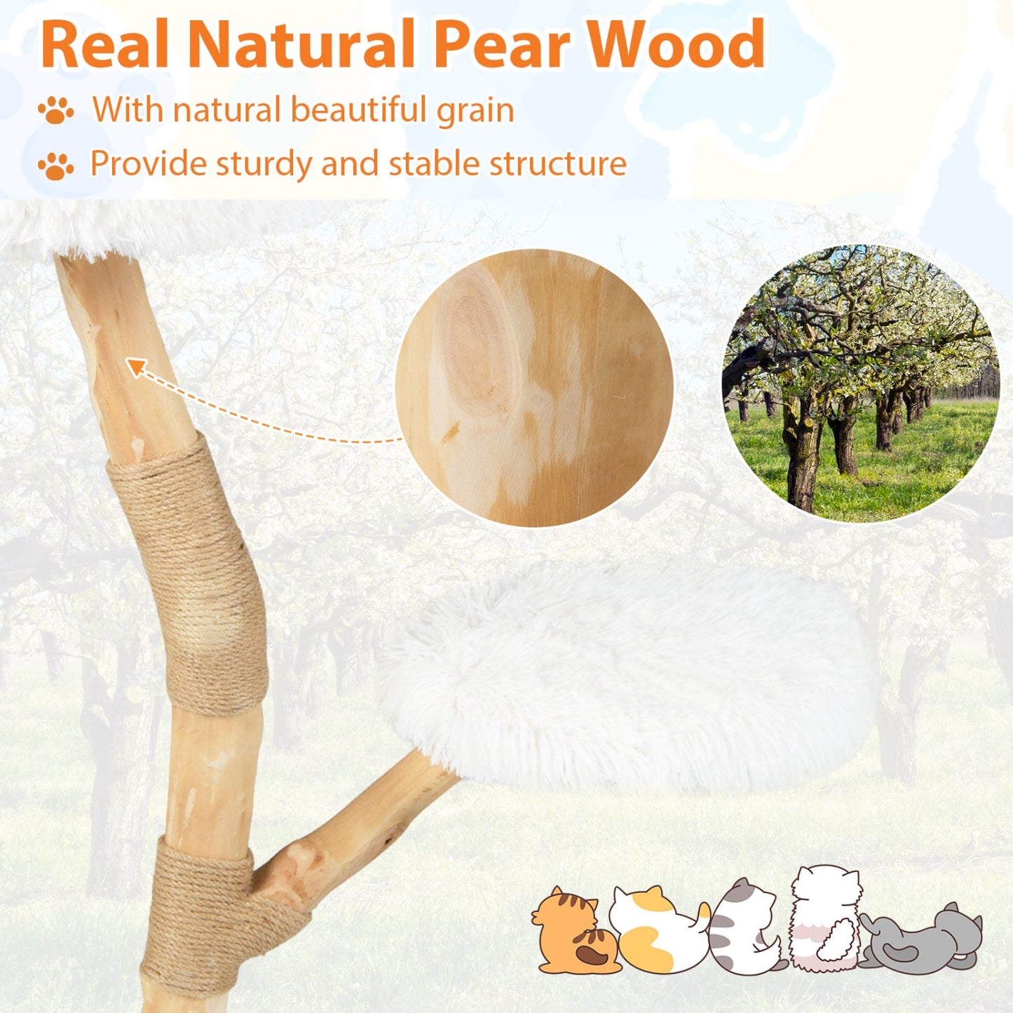 Wooden cat tree tower with pear wood finish, perch and sisal scratching posts DirectDeals on Tampa Home & Garden Store