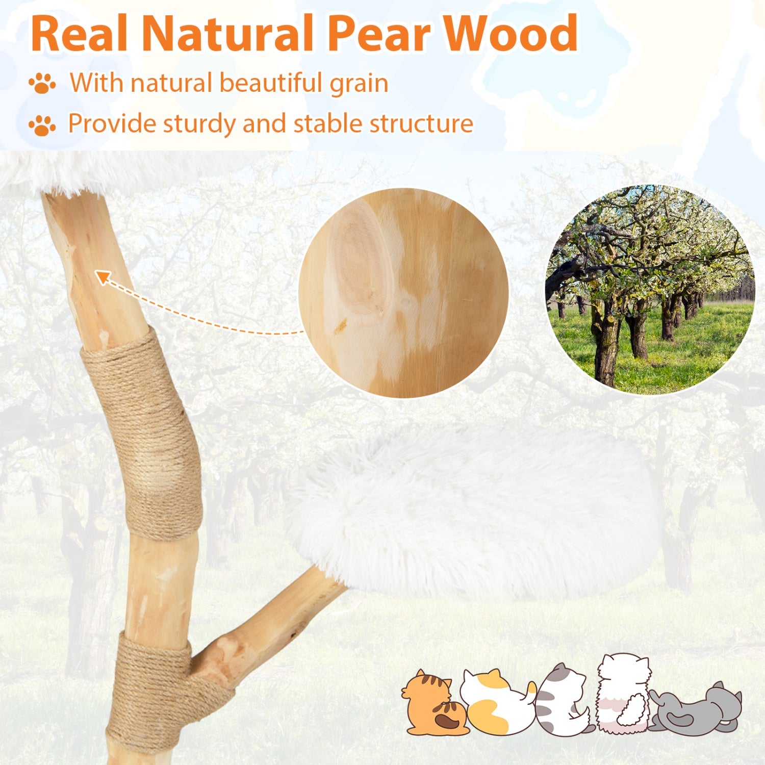 Wooden cat tree tower with pear wood finish, perch and sisal scratching posts DirectDeals on Tampa Home & Garden Store