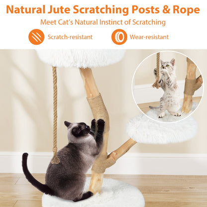 DirectDeals wooden cat tree tower with rope-wrapped posts and perches; two kittens playing on Tampa Home & Garden Store