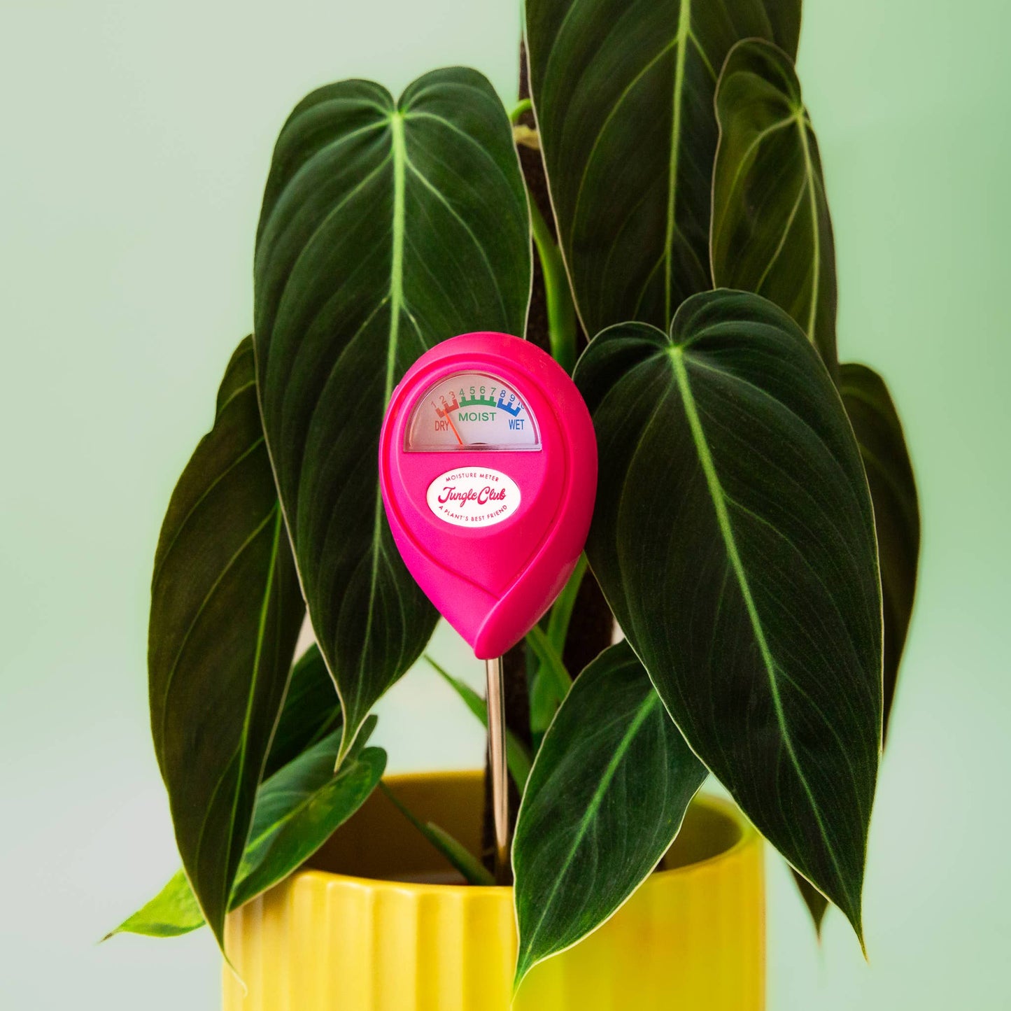 Moisture Meter | Hibiscus - Tampa Home & Garden Store