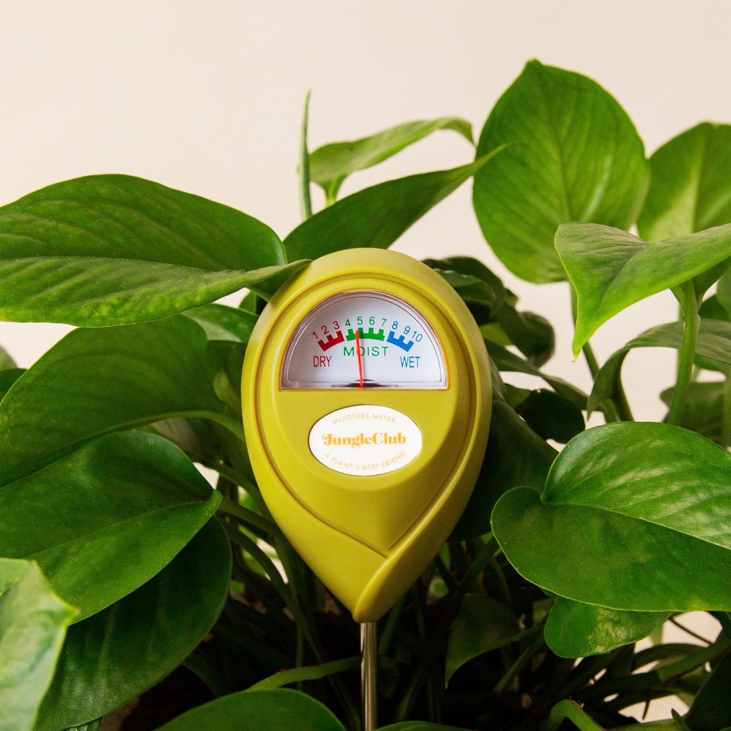 Moisture meter JungleClub yellow dial meter amid lush green houseplant leaves on Tampa Home & Garden Store