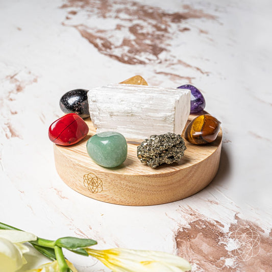 Money-Magnet Lamp - Tampa Home & Garden Store