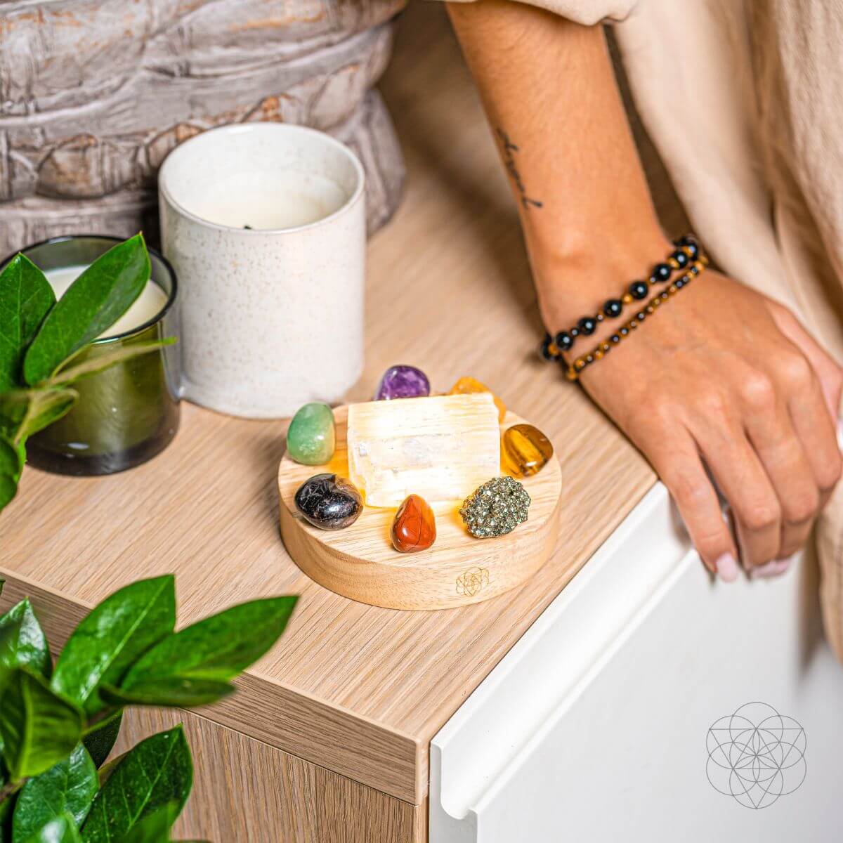 Money-Magnet Lamp - Tampa Home & Garden Store