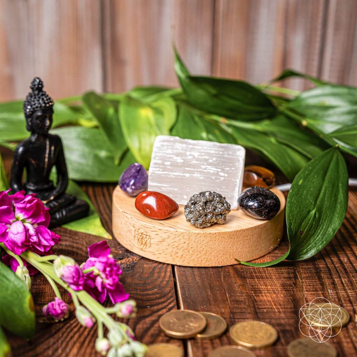 Money-Magnet Lamp - Tampa Home & Garden Store