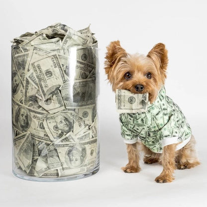 Money Print Dog Hoodie - Tampa Home & Garden Store