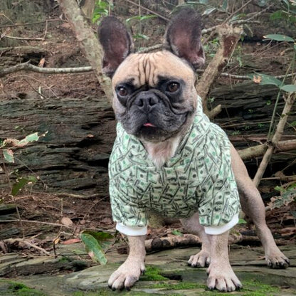 Money Print Dog Hoodie - Tampa Home & Garden Store