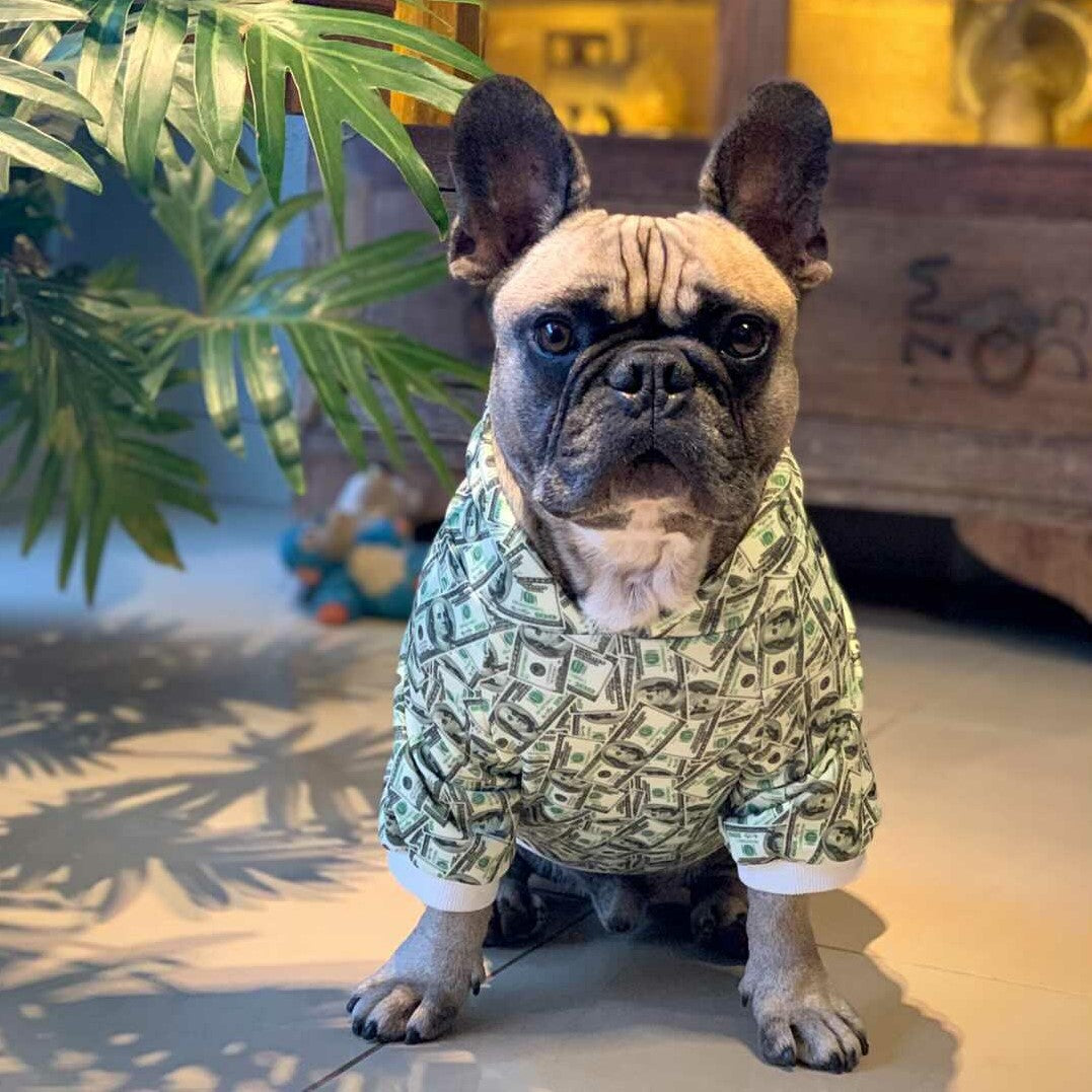Money Print Dog Hoodie - Tampa Home & Garden Store