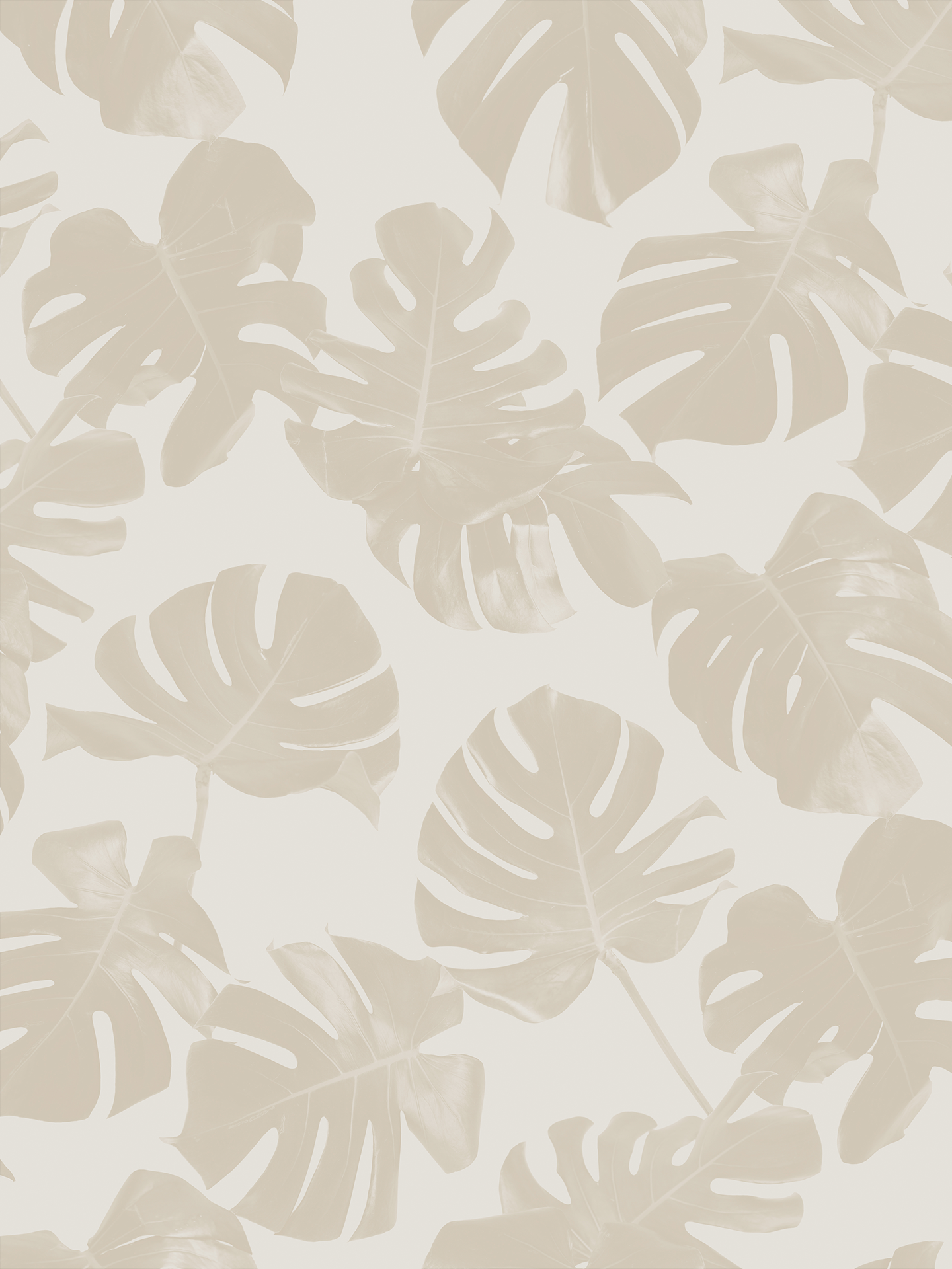Monstera Leaf Wallpaper, neutral - Tampa Home & Garden Store