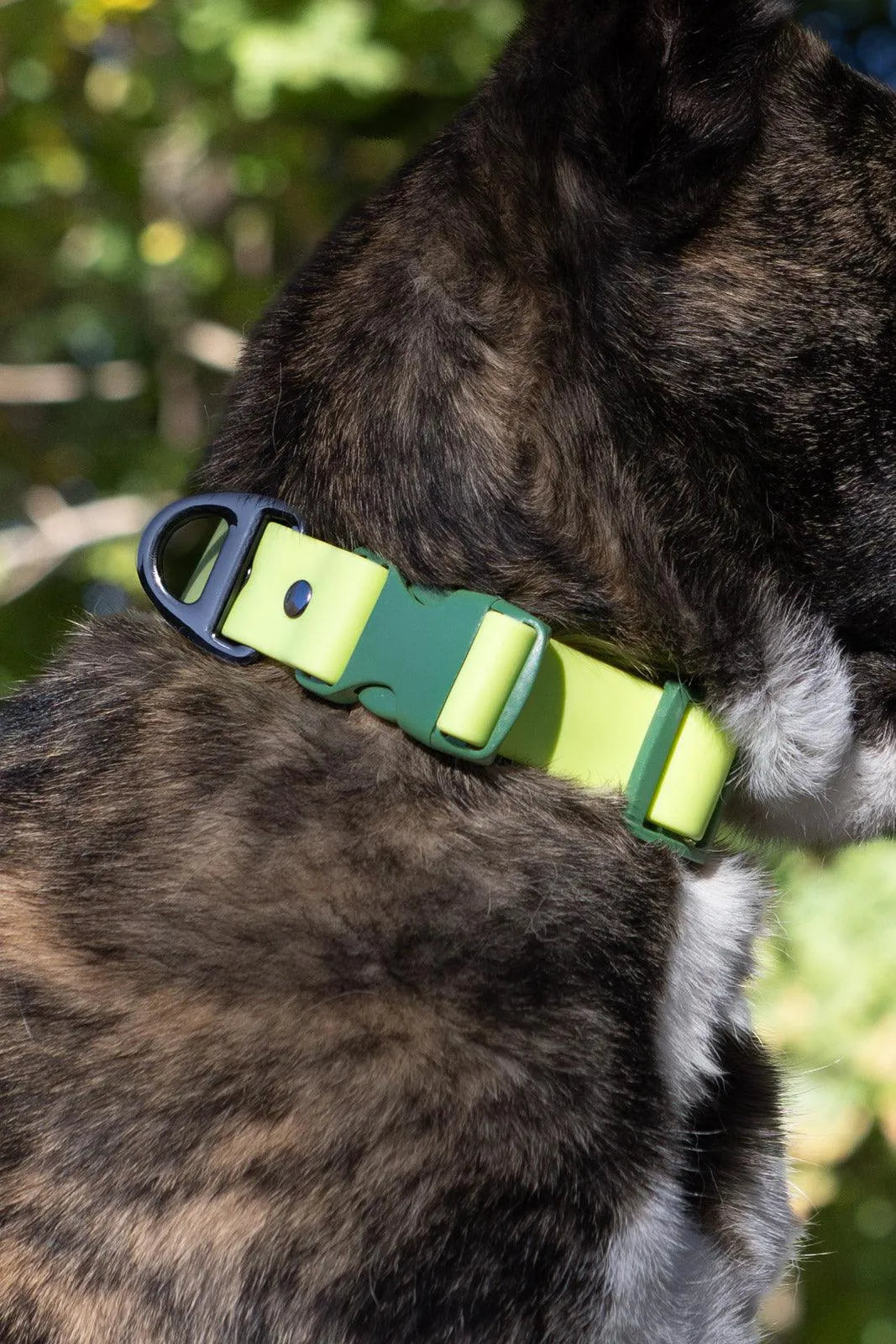 Mossy Pine Waterproof Dog Collar - Tampa Home & Garden Store