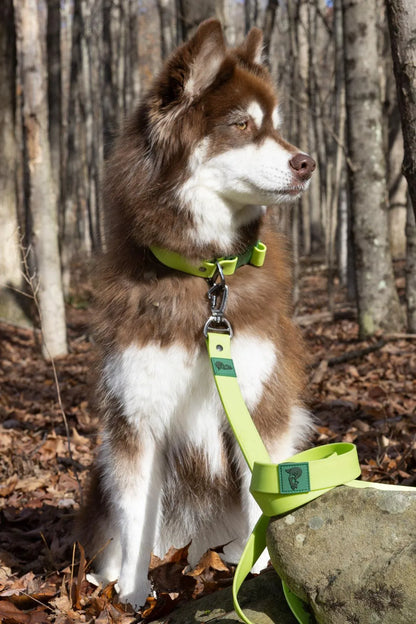 Mossy Pine Waterproof Leash - Tampa Home & Garden Store