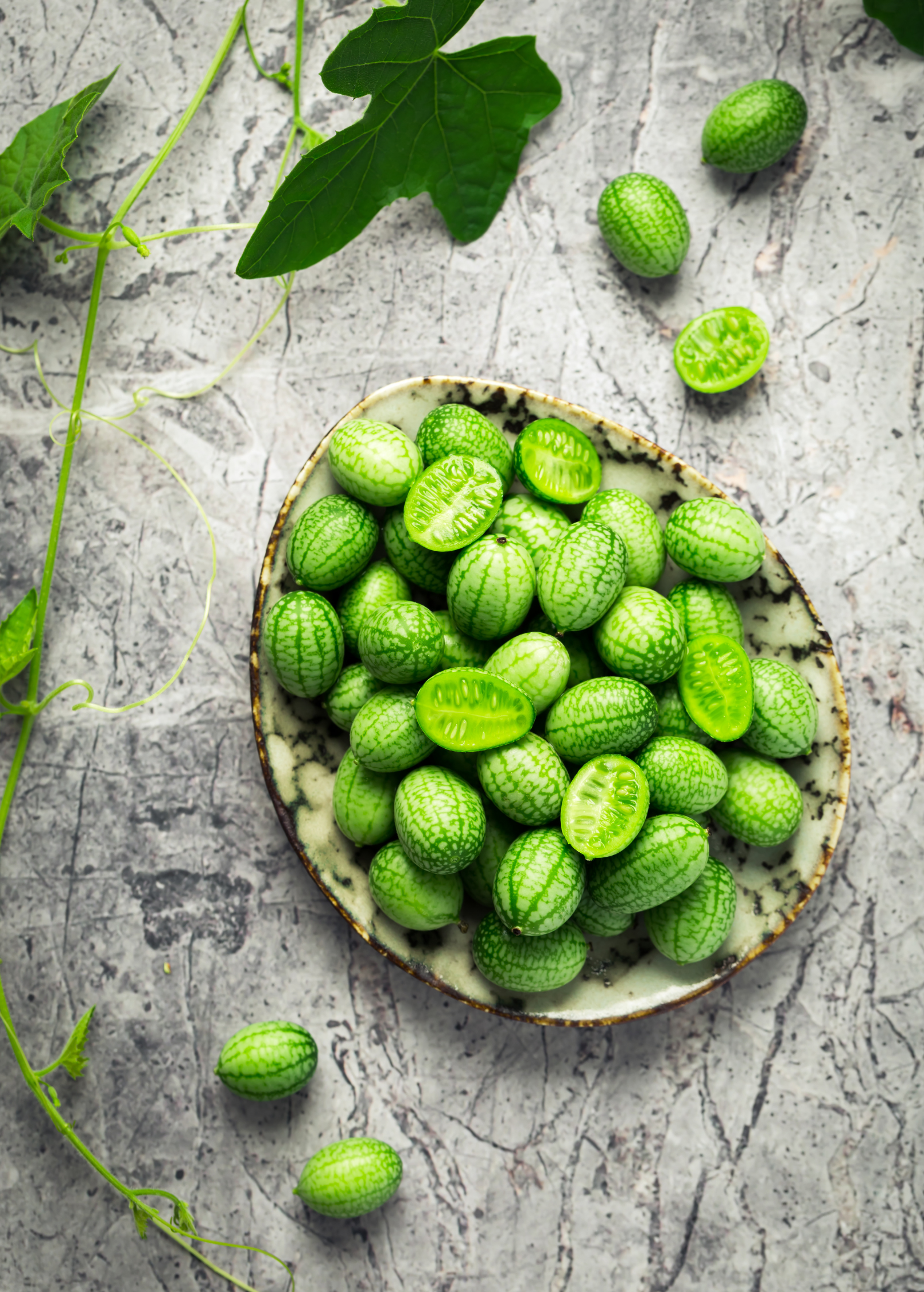Mouse Melon (Melothria scabra) - Tampa Home & Garden Store