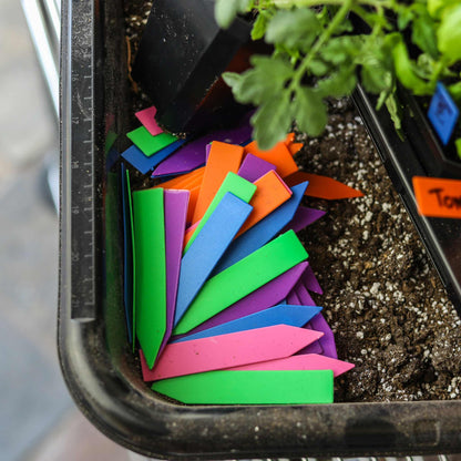Multi-color Plant Labels | 100 count - Tampa Home & Garden Store