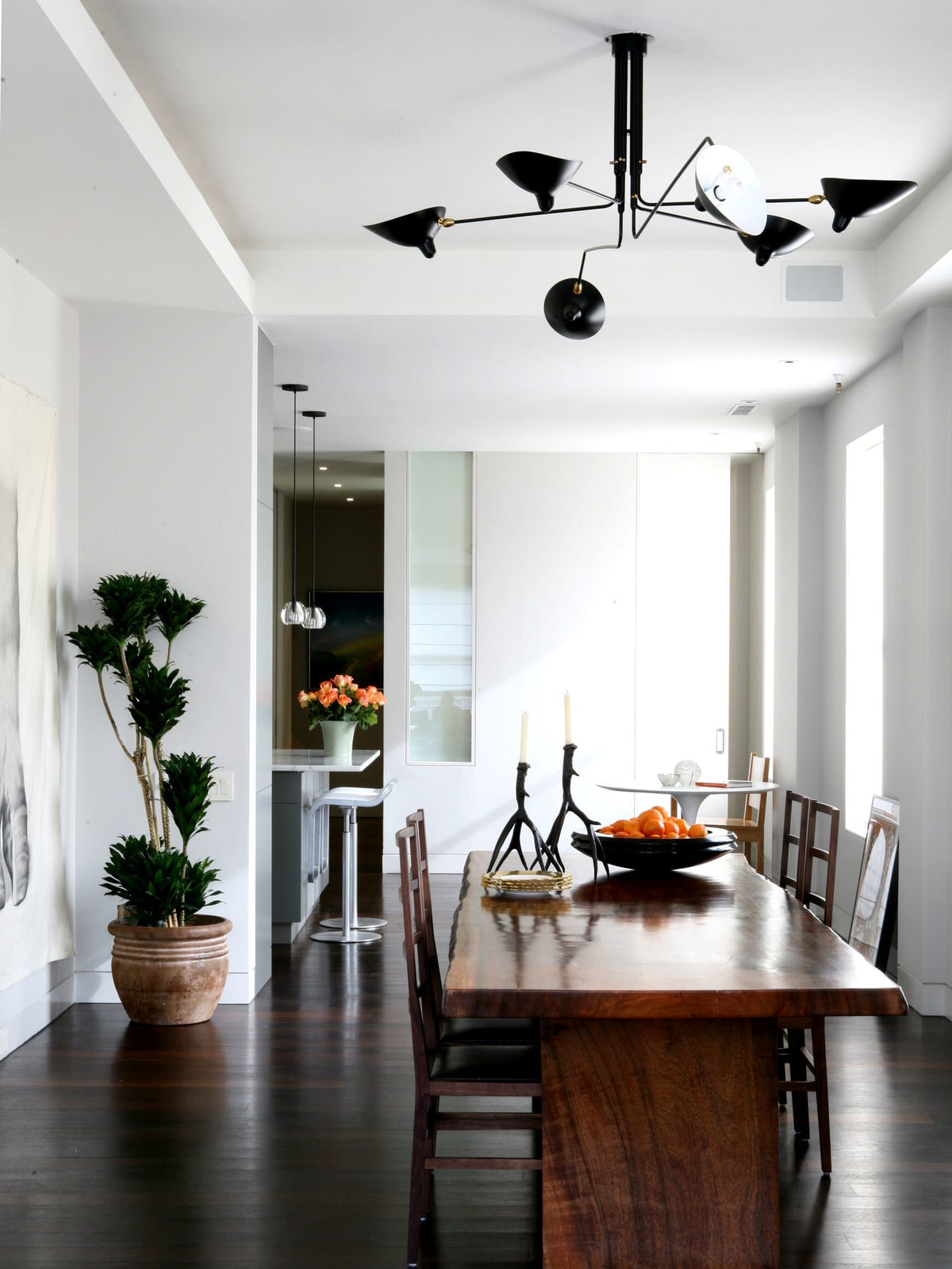 Arachnia 3-arm suspended ceiling light with rotating reflectors, black finish Moktan Sabai on Tampa Home & Garden Store