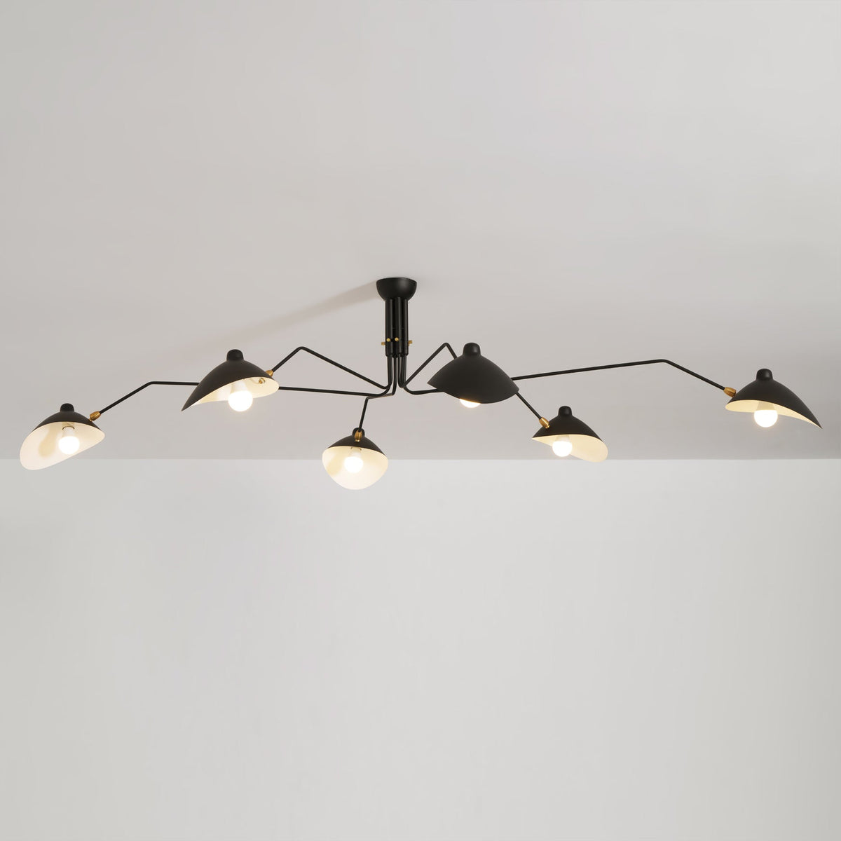 Arachnia suspended 3-arm ceiling light with rotating reflectors in black finish on Tampa Home & Garden Store