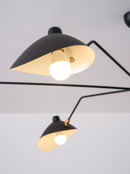 Arachnia suspended 3-arm ceiling light with rotating reflectors, black finish on Tampa Home & Garden Store