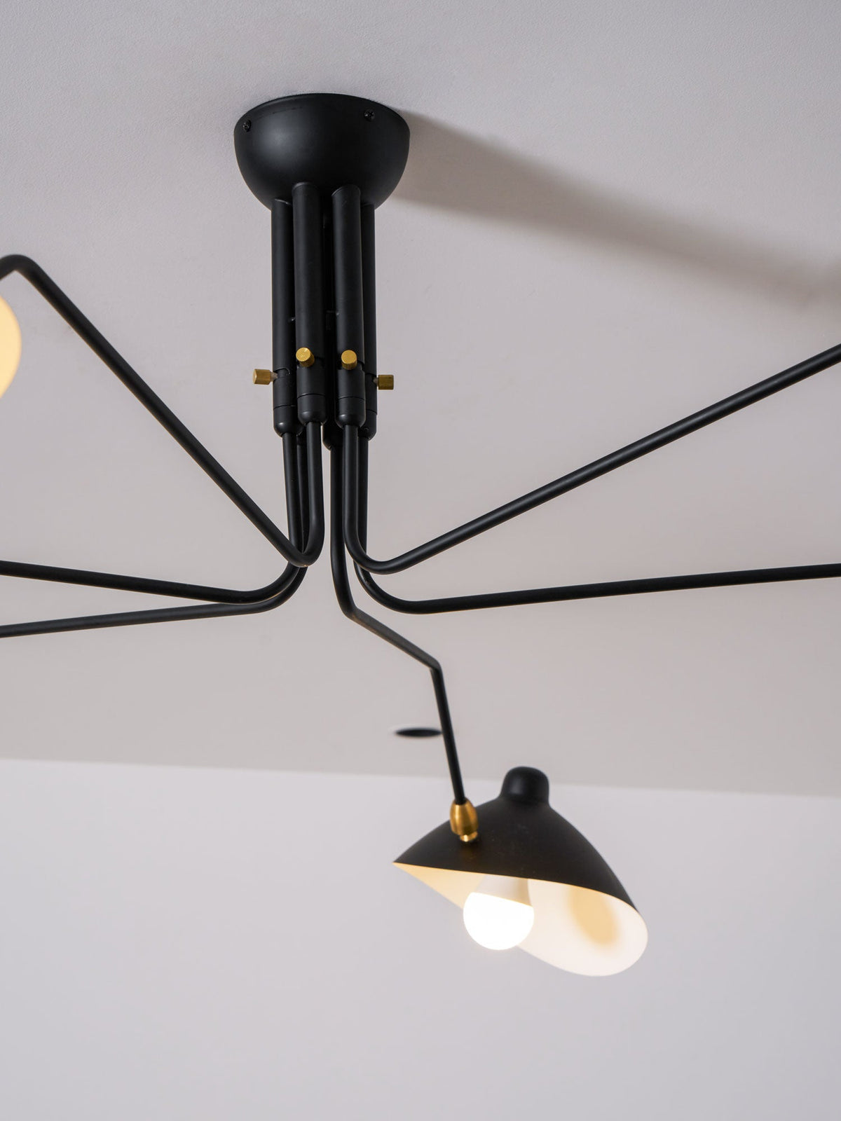 Arachnia 3-arm ceiling light with rotating reflectors in black finish by Moktan Sabai on Tampa Home & Garden Store