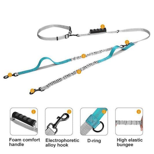 Multifunctional Handsfree Bungee Dog Leash - Tampa Home & Garden Store