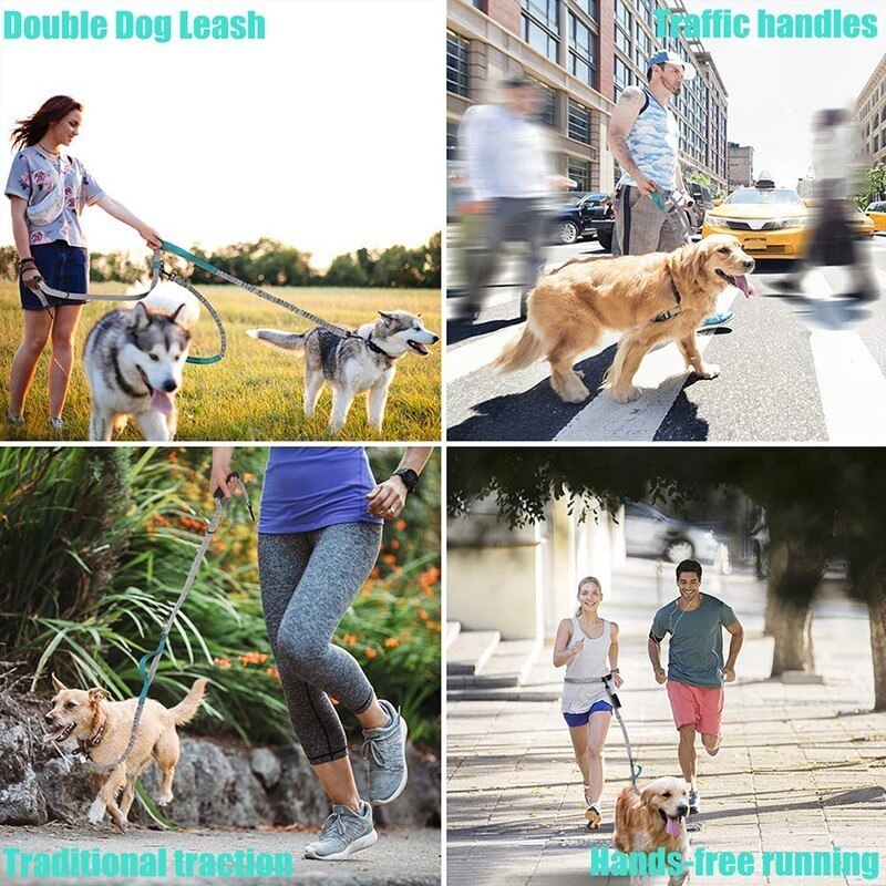 Multifunctional Handsfree Bungee Dog Leash - Tampa Home & Garden Store