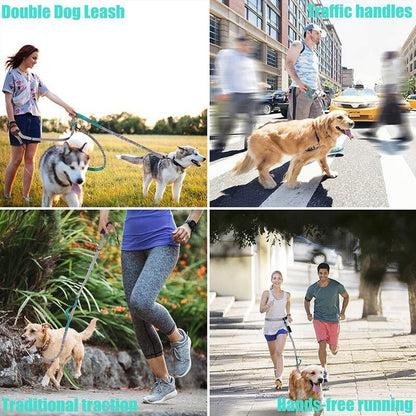 Multifunctional Handsfree Bungee Dog Leash - Tampa Home & Garden Store
