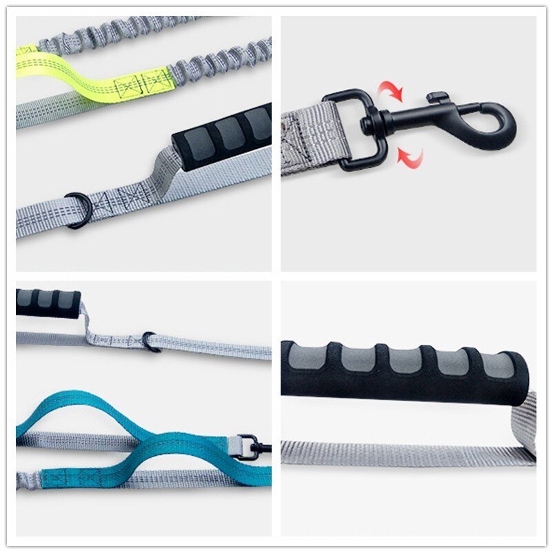 Multifunctional Handsfree Bungee Dog Leash - Tampa Home & Garden Store