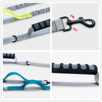 Multifunctional Handsfree Bungee Dog Leash - Tampa Home & Garden Store