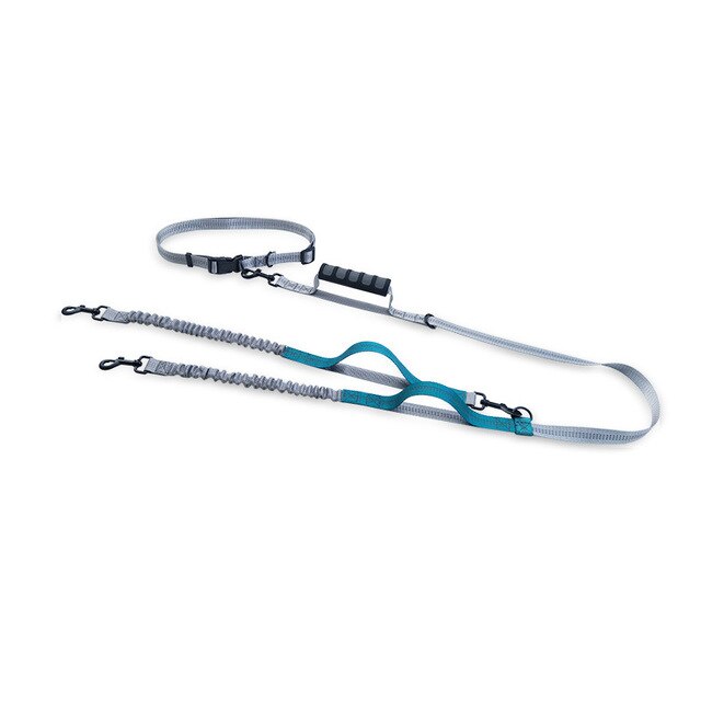 Multifunctional Handsfree Bungee Dog Leash - Tampa Home & Garden Store