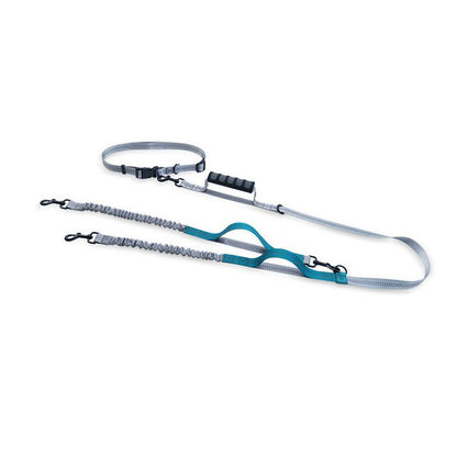 Multifunctional Handsfree Bungee Dog Leash - Tampa Home & Garden Store