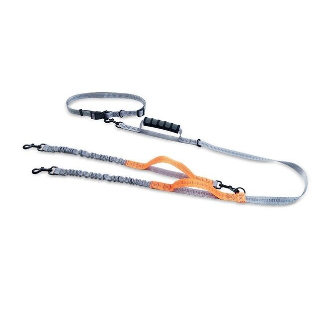 Multifunctional Handsfree Bungee Dog Leash - Tampa Home & Garden Store