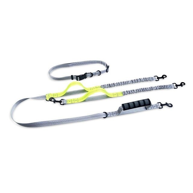 Multifunctional Handsfree Bungee Dog Leash - Tampa Home & Garden Store