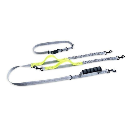 Multifunctional Handsfree Bungee Dog Leash - Tampa Home & Garden Store