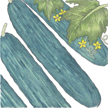 Muncher Cucumber Seeds (Organic) - Tampa Home & Garden Store
