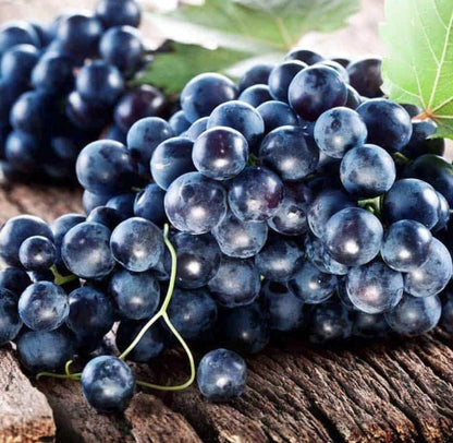 Muscadine Grape Seeds - Non GMO - Vitis Rotundifolia E165 - Tampa Home & Garden Store