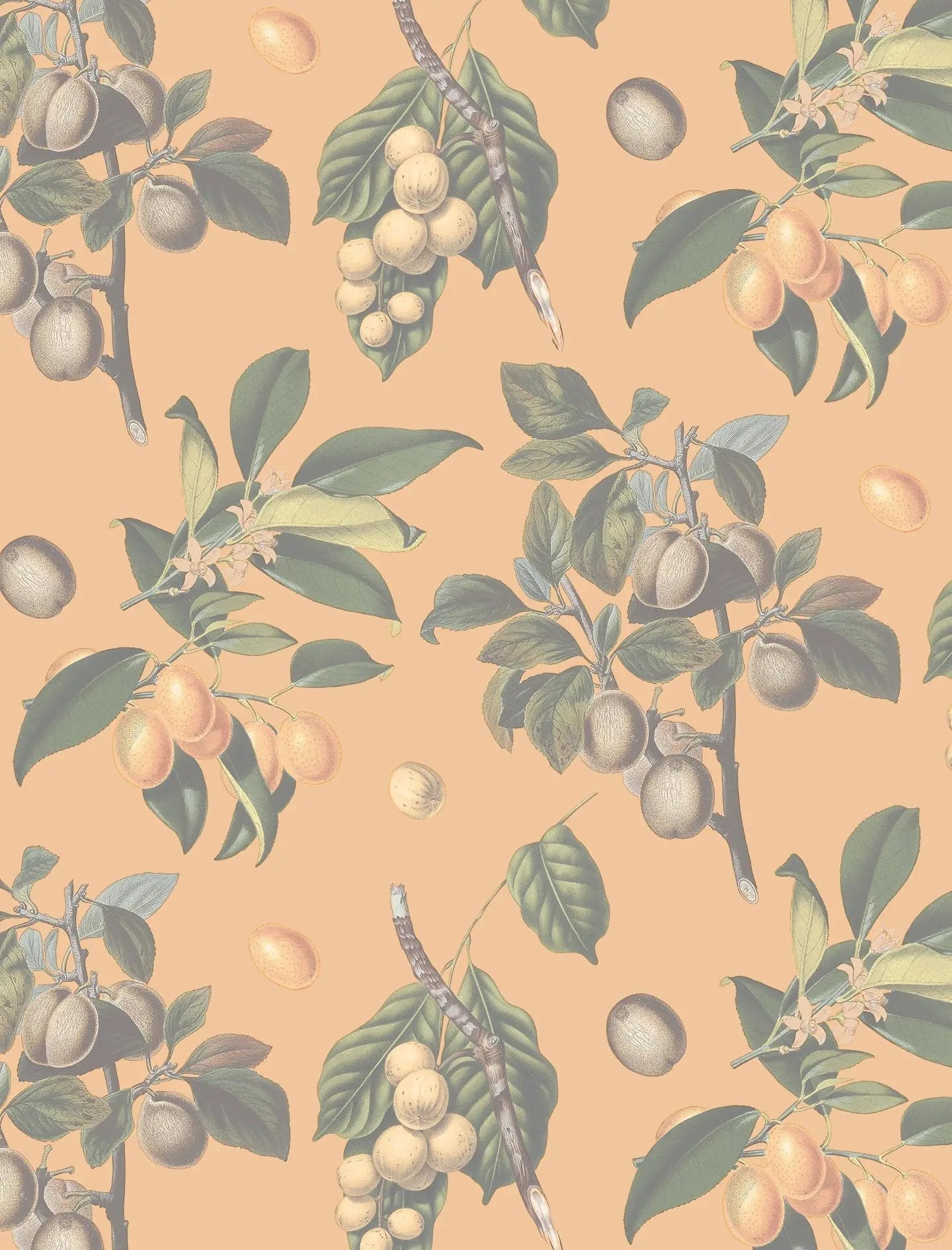 Muted Vintage Orchard Wallpaper, orange - Tampa Home & Garden Store
