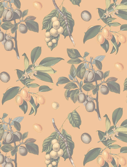 Muted Vintage Orchard Wallpaper, orange - Tampa Home & Garden Store