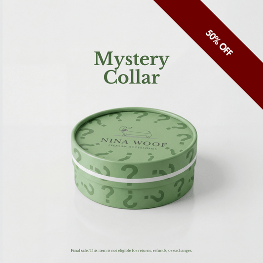 Mystery Collar - Tampa Home & Garden Store