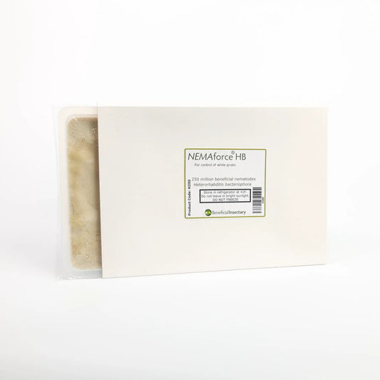 NEMAforce HB beneficial nematodes kit containing beige powder in a clear pouch, Growers House Auto on Tampa Home & Garden Store
