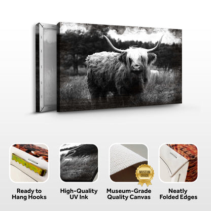 Highland Cattle Monochrome Canvas Wall Art by Tailored Canvases on Tampa Home & Garden Store