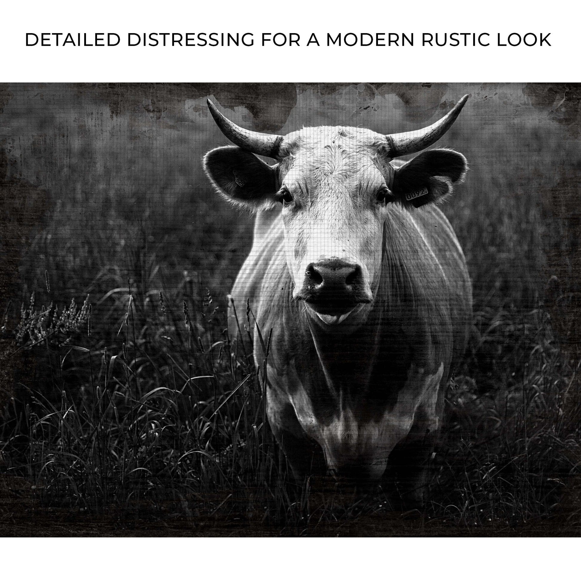 Longhorn cattle portrait canvas wall art in grayscale Tailored Canvases crafting canvas on Tampa Home & Garden Store
