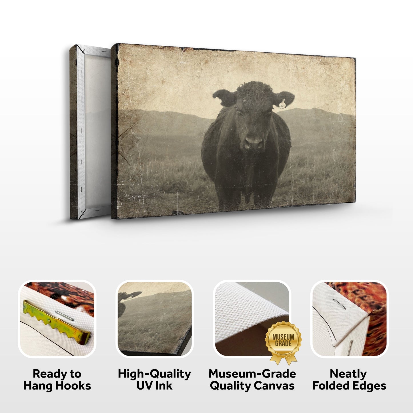 Vintage Angus Portrait Canvas Wall Art in sepia distress by Tailored Canvases on Tampa Home & Garden Store