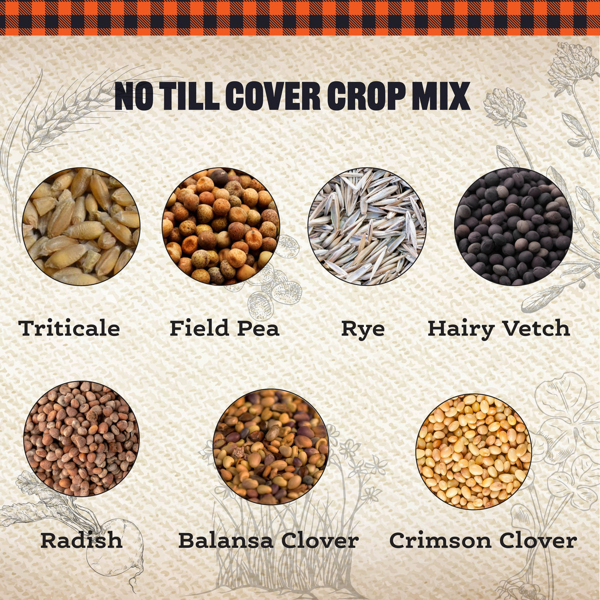 No Till Cover Crop Mix seeds with circular photos of triticale, field pea, rye, hairy vetch on Tampa Home & Garden Store