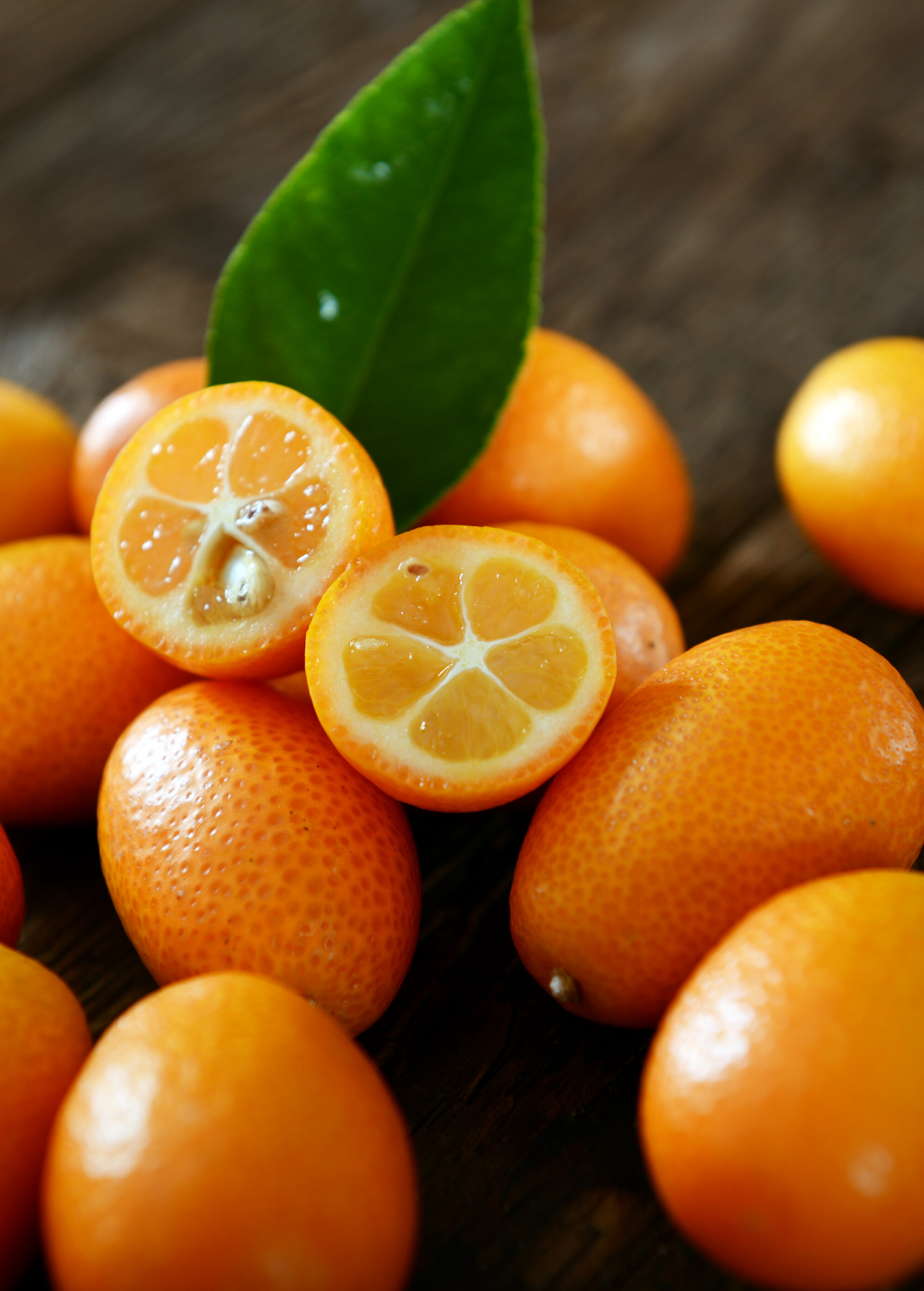 Nagami Kumquat Tree (Citrus margarita) - Tampa Home & Garden Store