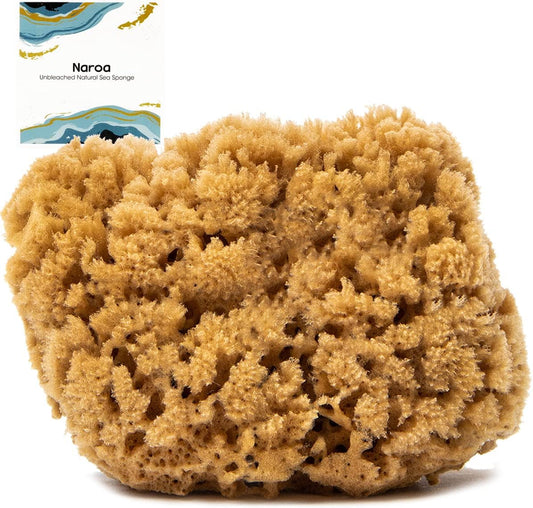 Naroa Shower Sponge — Natural Exfoliation for Healthy, Radiant Skin - Tampa Home & Garden Store