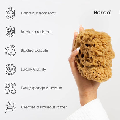 Naroa Shower Sponge — Natural Exfoliation for Healthy, Radiant Skin - Tampa Home & Garden Store